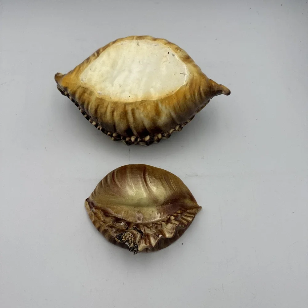 Vintage Atlantic Mold Ceramic Large Conch Sea Shell Planter Vase Brown Glossy